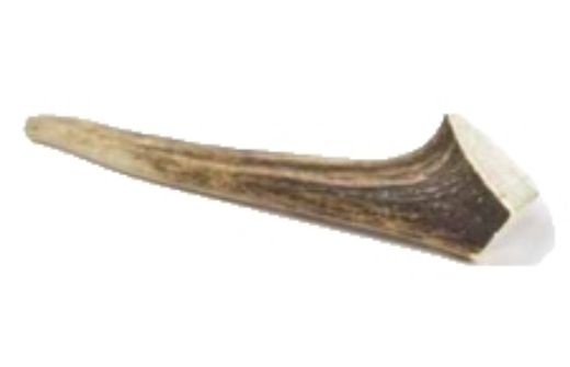 Paroží