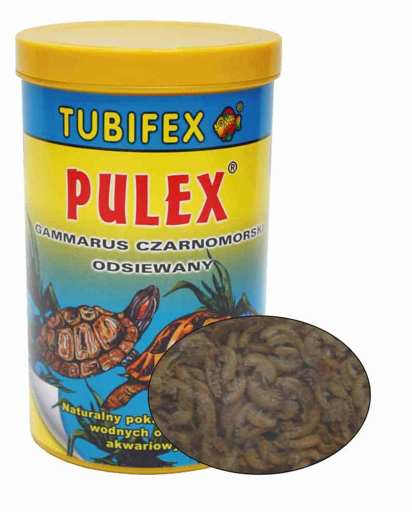Tubifex Pulex Gamarus (vodní želva
