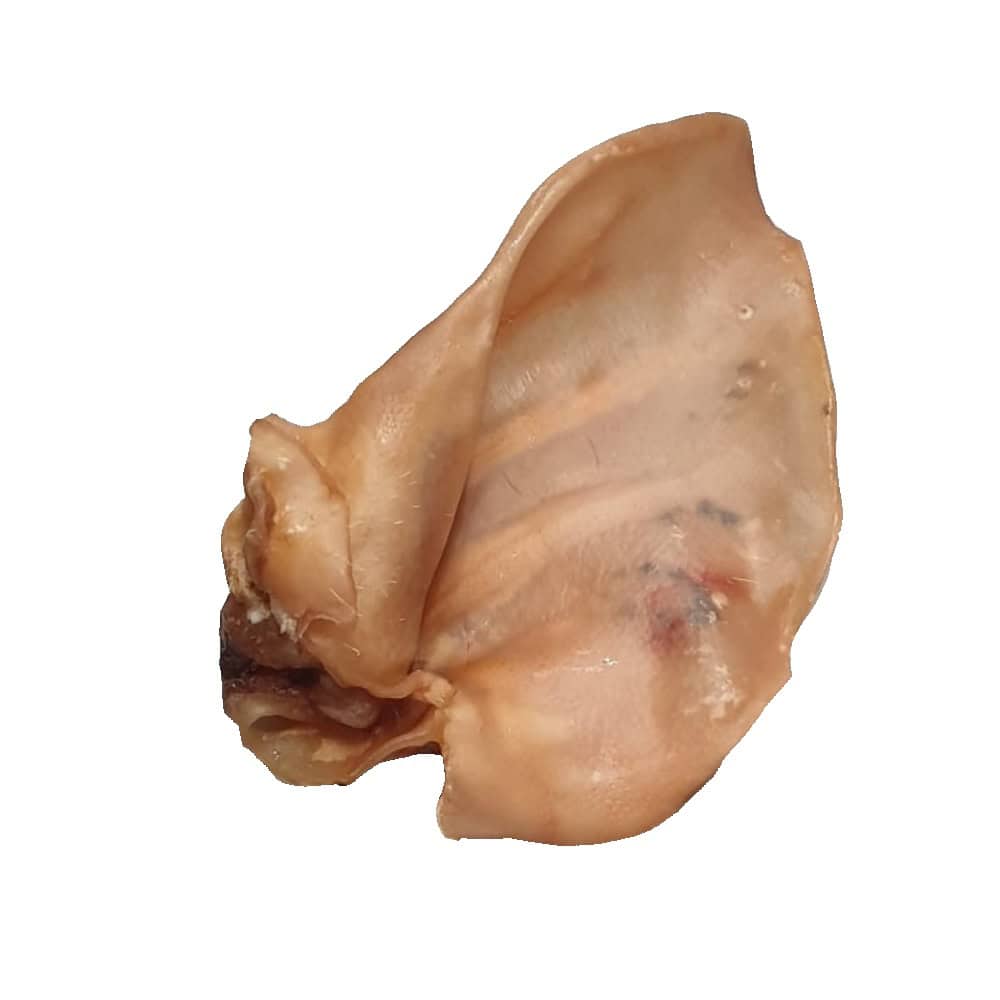 Ucho vepřové CZ PRODEJ PO BALENÍ (50 ks)