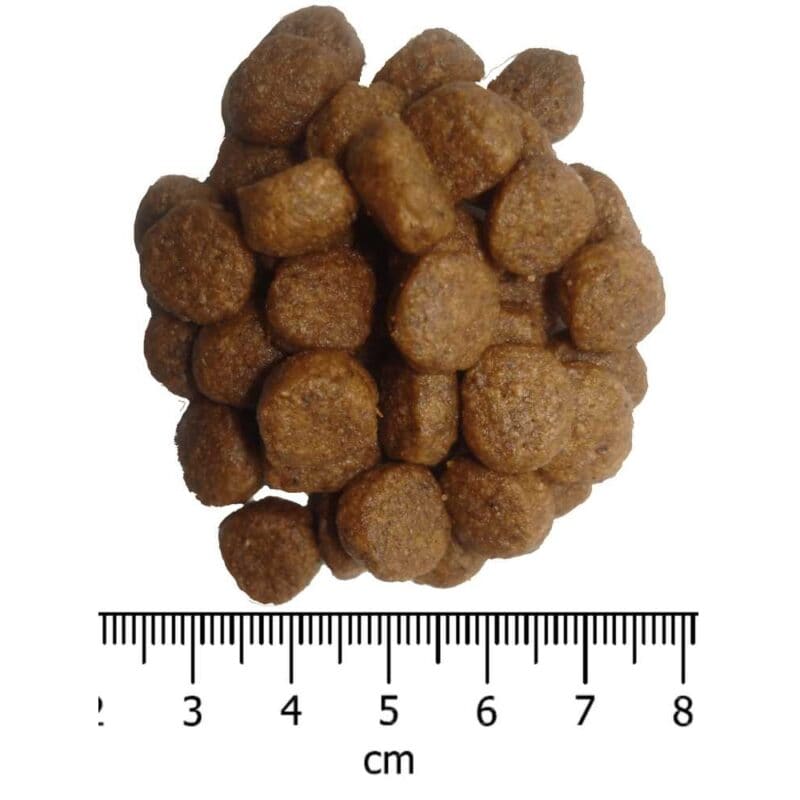 OPTIMAnova Dog Adult Mini Chicken & Rice 12 kg - Image 2