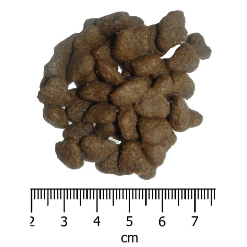 OPTIMAnova Dog Puppy Sensitive Salmon & Potato GF 12 kg - Image 2