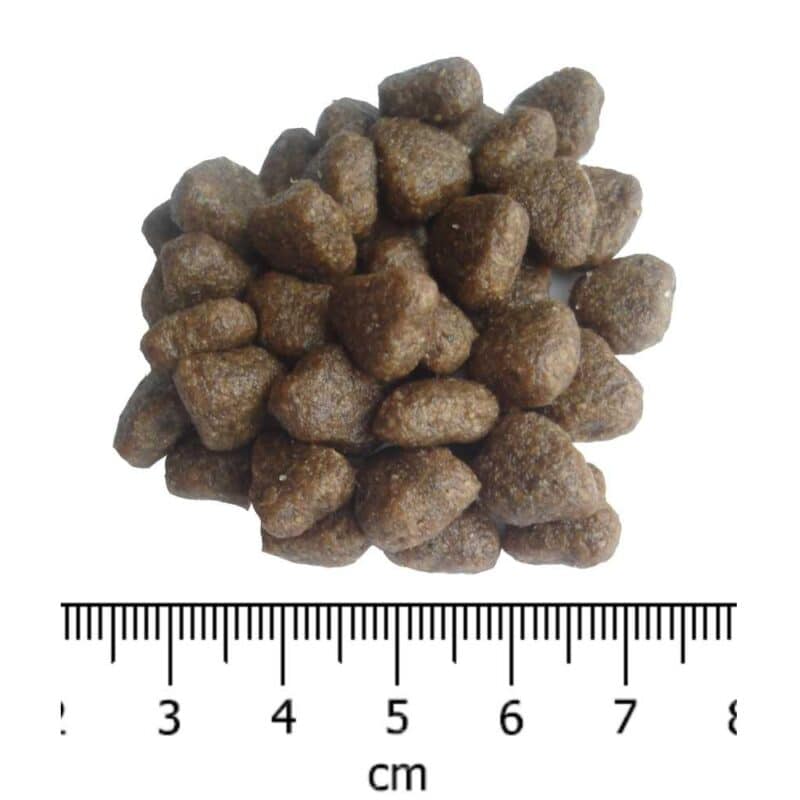 OPTIMAnova Dog Adult Mini Sensitive Salmon & Potato GF 8 kg - Image 2