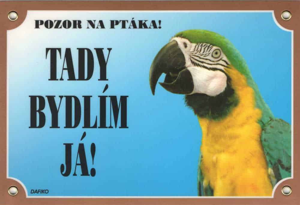 Cedulka Dafiko PAPOUŠEK ARA ARARAUNA