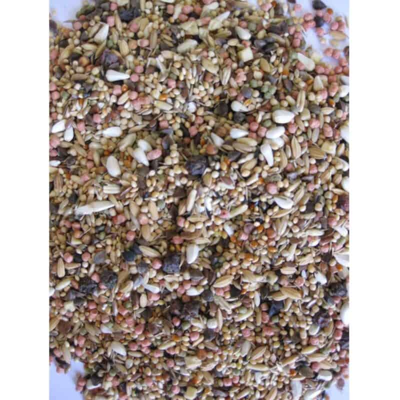 Deli Nature Birdelicious Africký velký papoušík 800 g - Image 2