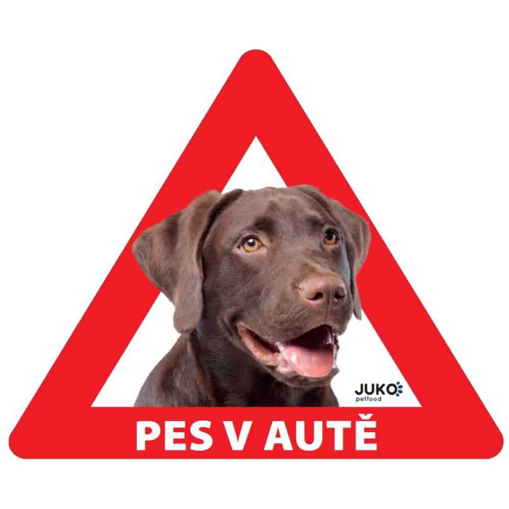 Samolepka pes v autě vnitřní LABRADOR HNĚDÝ