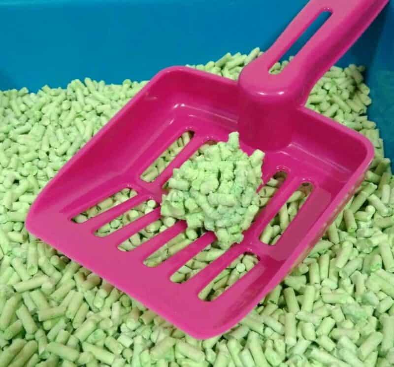 Smarty Tofu Cat Litter Green Tea podestýlka 6 l - Image 3
