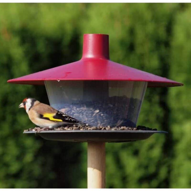 Krmítko venkovní Finch talíř vínová - Obrázek 3