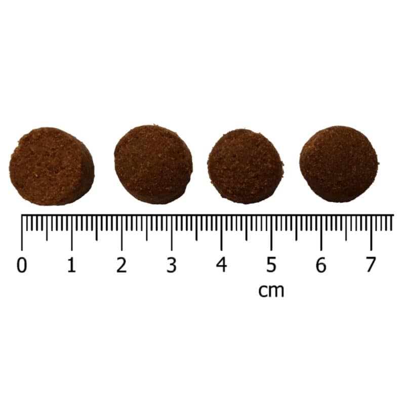 IRONpet Dog Adult Medium Turkey (Krocan) 12 kg - Image 3