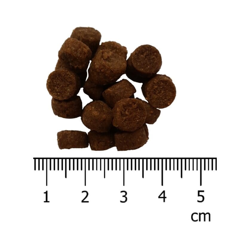 5 kg