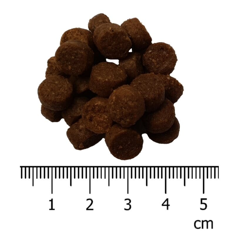 5 kg