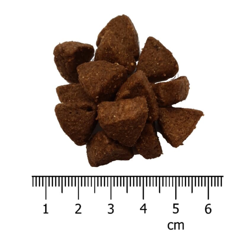 5 kg