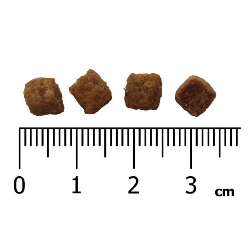 IRONpet Dog Mini Adult Beef (Hovězí) 12 kg - Image 3