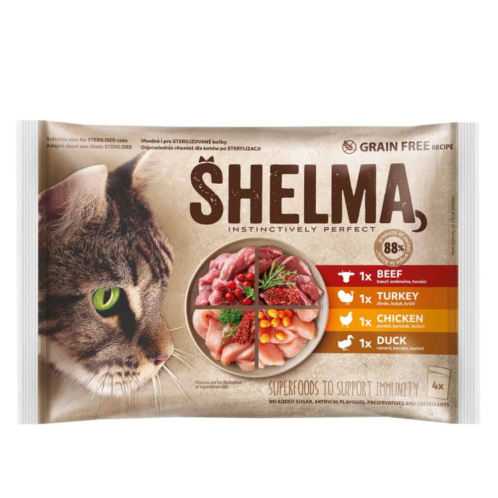 SHELMA Cat kuře