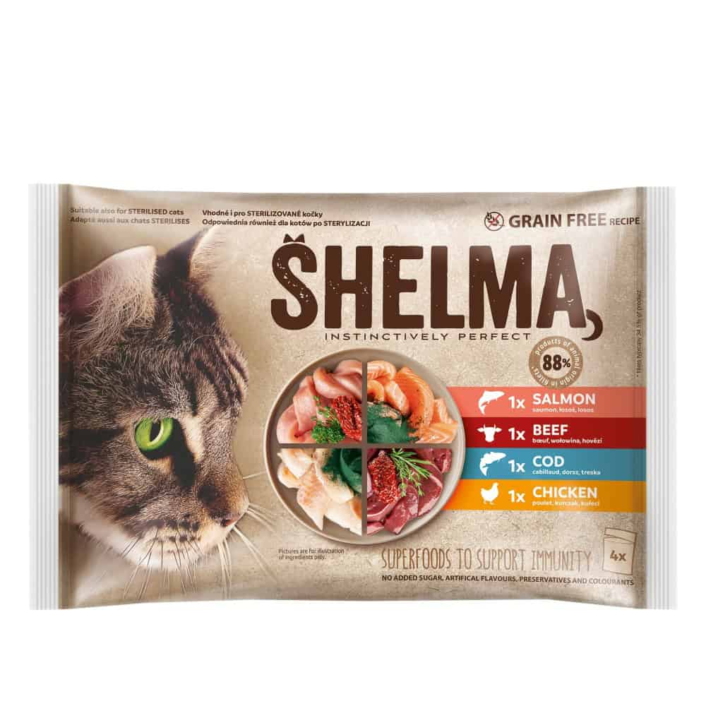 SHELMA Cat kuře