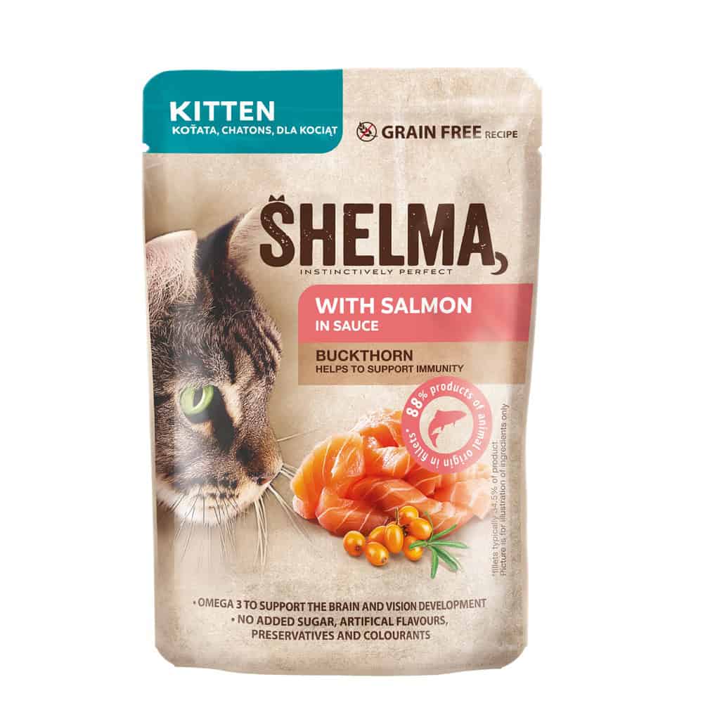 SHELMA Cat Kitten losos a rakytník v omáčce
