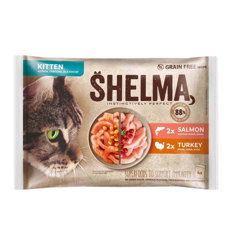 SHELMA Cat Kitten losos a krůta