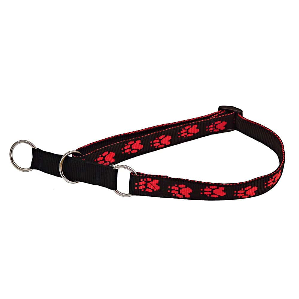Obojek popruh polostahovací 40 - 70 x 2
