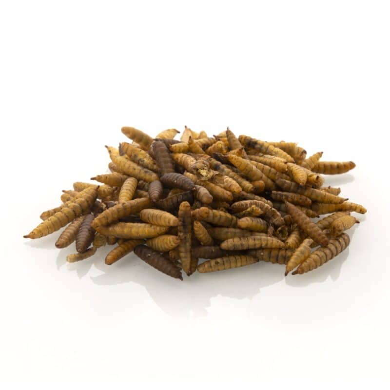 dóza 500 ml ( 75 g )