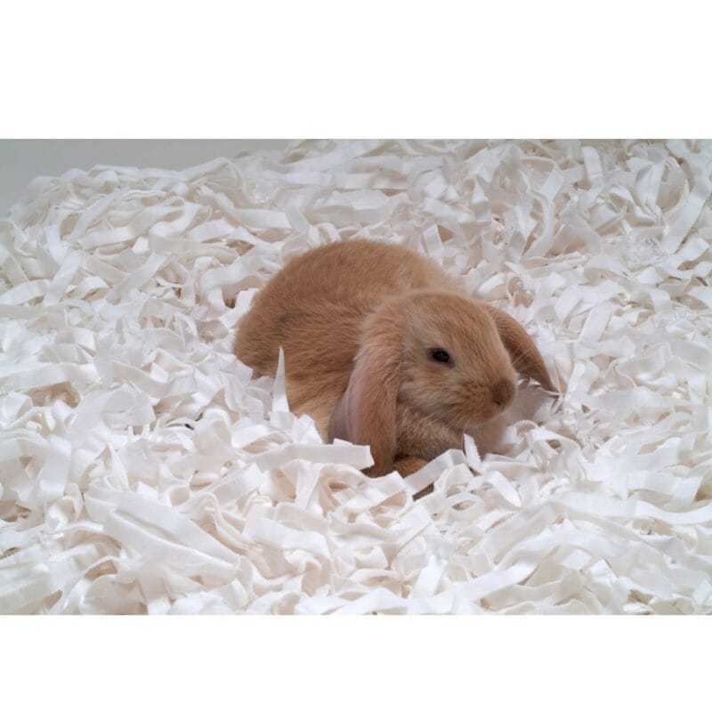 Podestýlka z papírové vlny Safebed 2 kg - Image 2