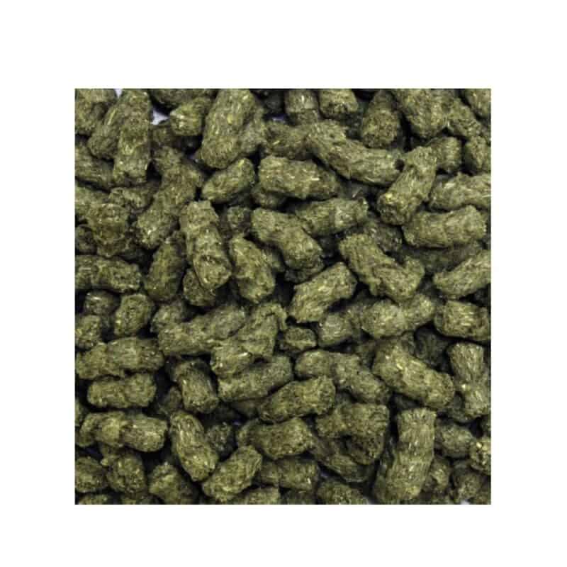 Roger Green Králík zakrslý 400 g - Image 2