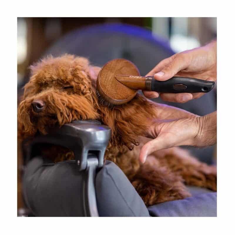 Kartáč ovál Barbershop - Image 2
