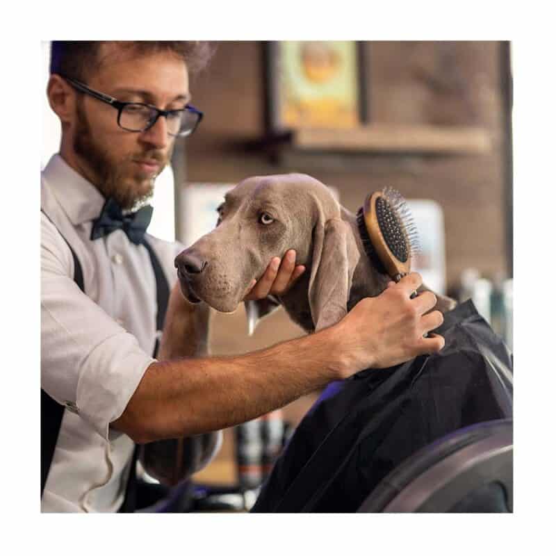Kartáč oboustranný Barbershop - Image 2