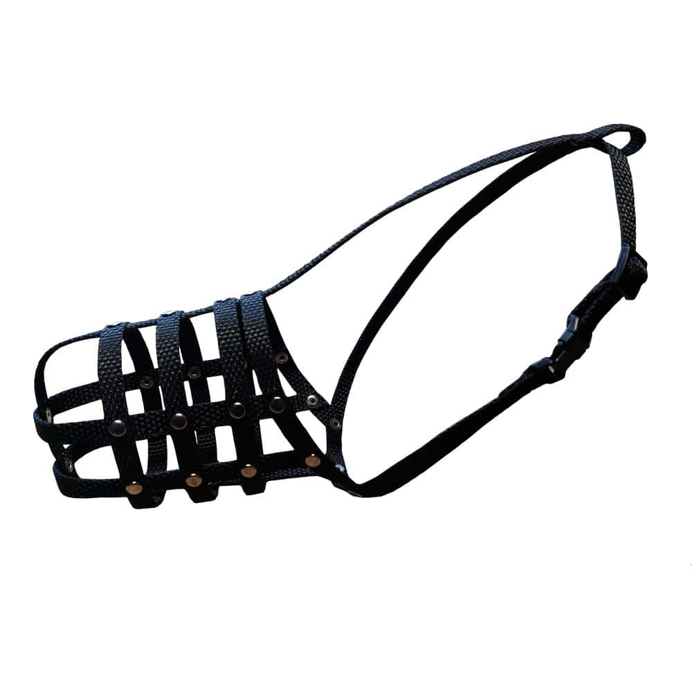 Náhubek popruh nylon chrt - fena