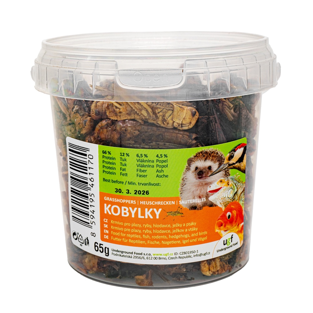 Kobylky