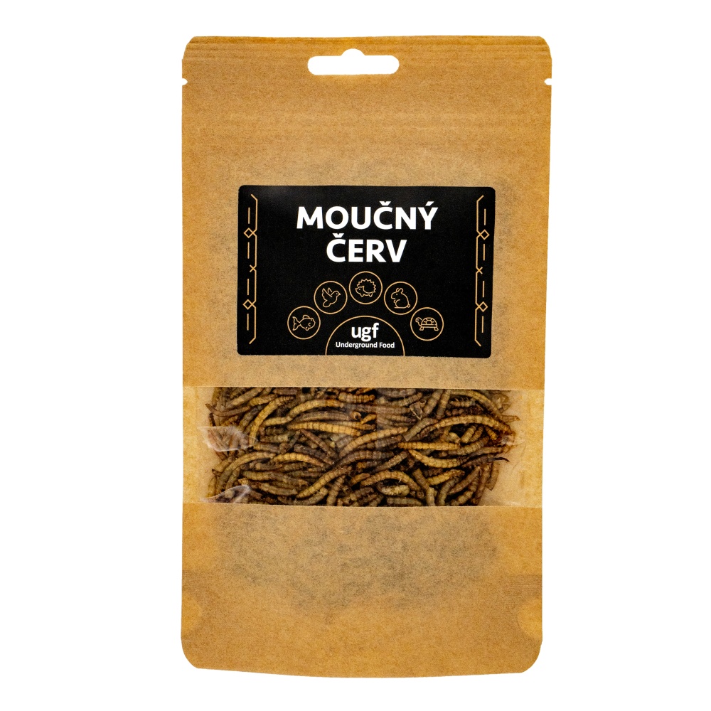 Mouční červi