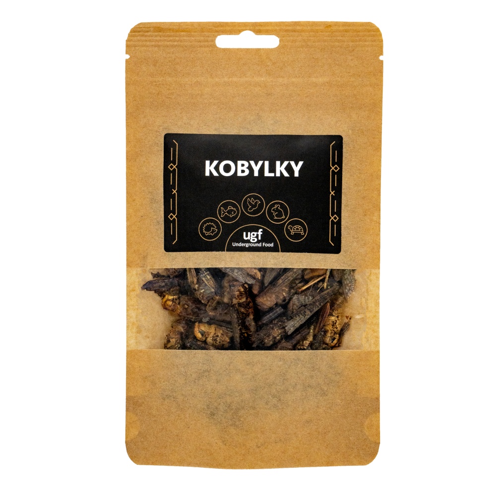 Kobylky