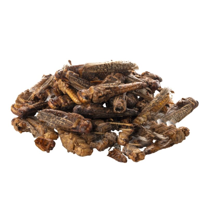 sáček 20 g