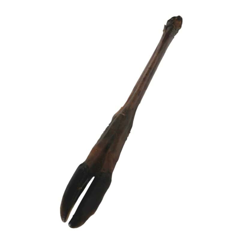 Jelení kopyto JUKO cca 40 cm - Obrázek 2