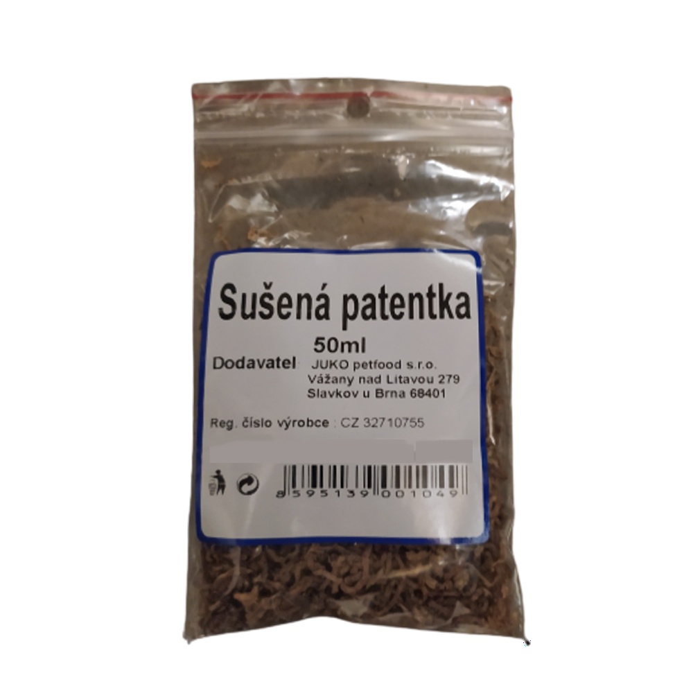 Patentka
