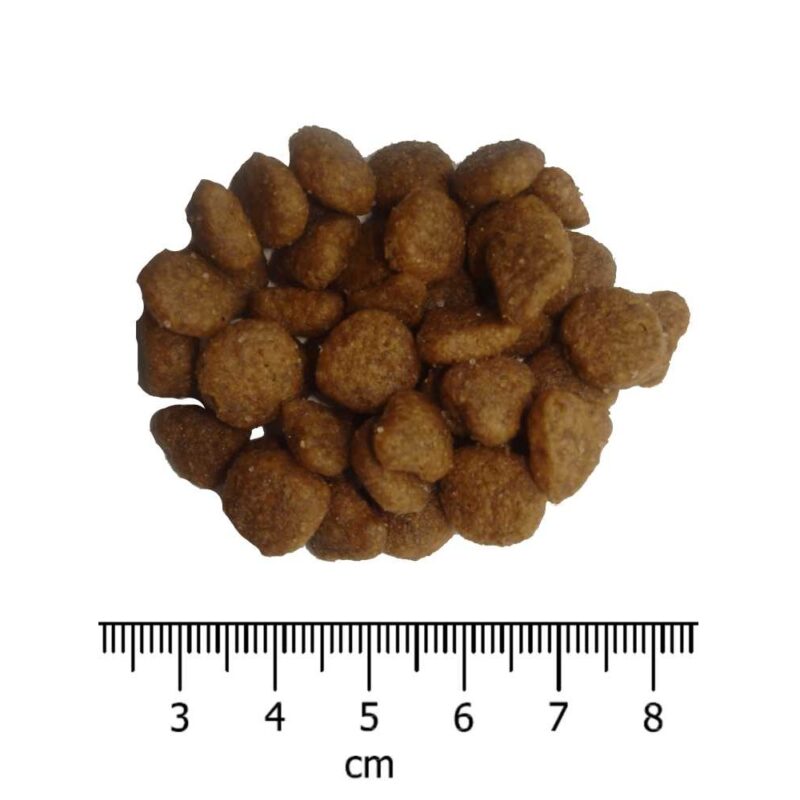 OPTIMAnova Cat Exquisite 2 kg - Image 2
