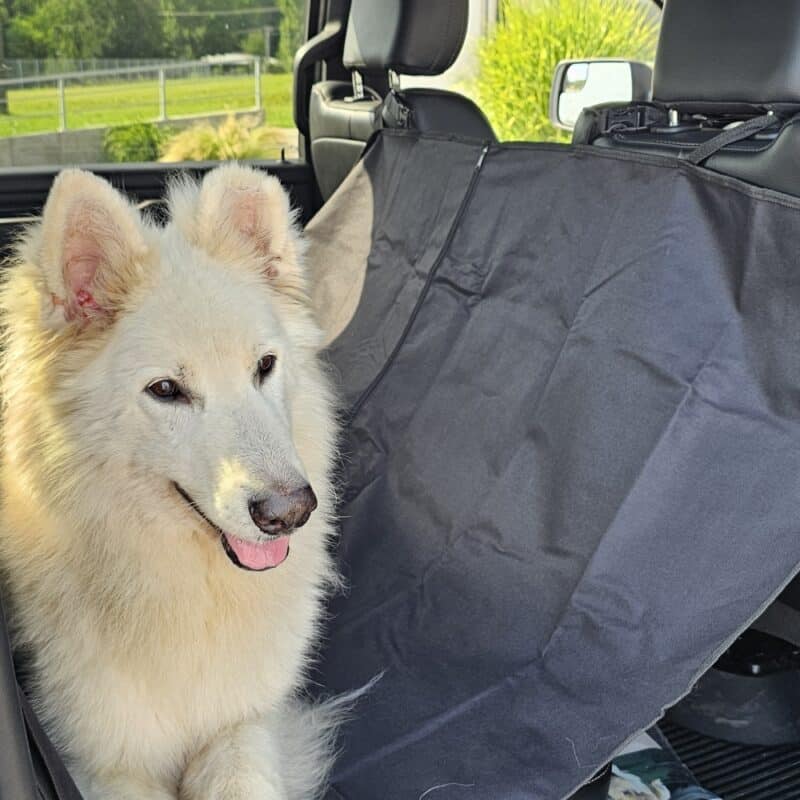 Autopotah pro psa omyvatelný