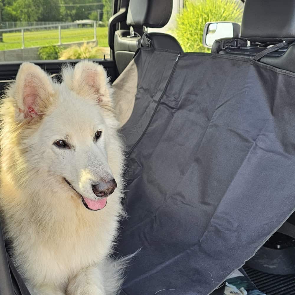 Autopotah pro psa omyvatelný